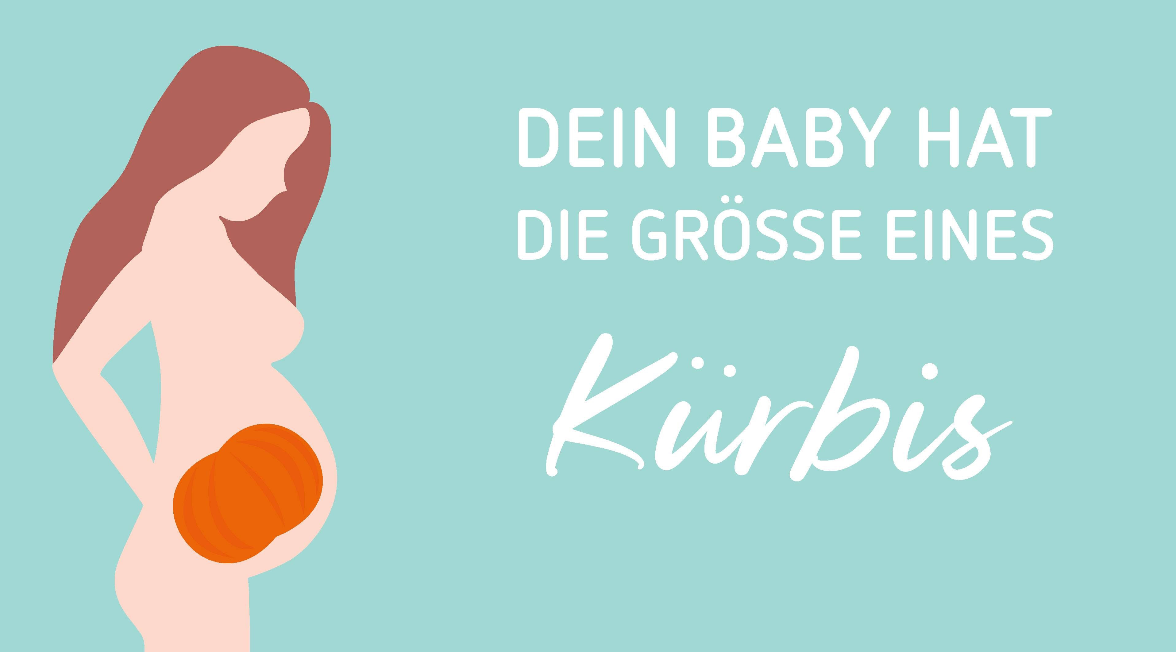 Schwangerschaftskalender: Schwangerschaftswochen Im Blick - Babyclub.de